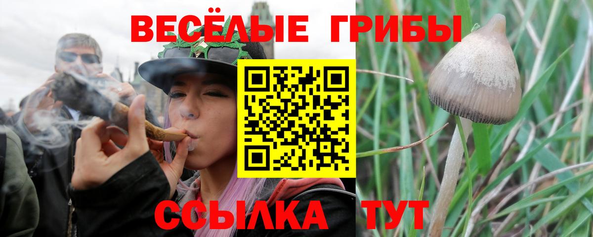 Галлюциногенные грибы MAGIC MUSHROOMS  Вход с VPN  Галлюциногенные грибы Cubensis  Саяногорск 